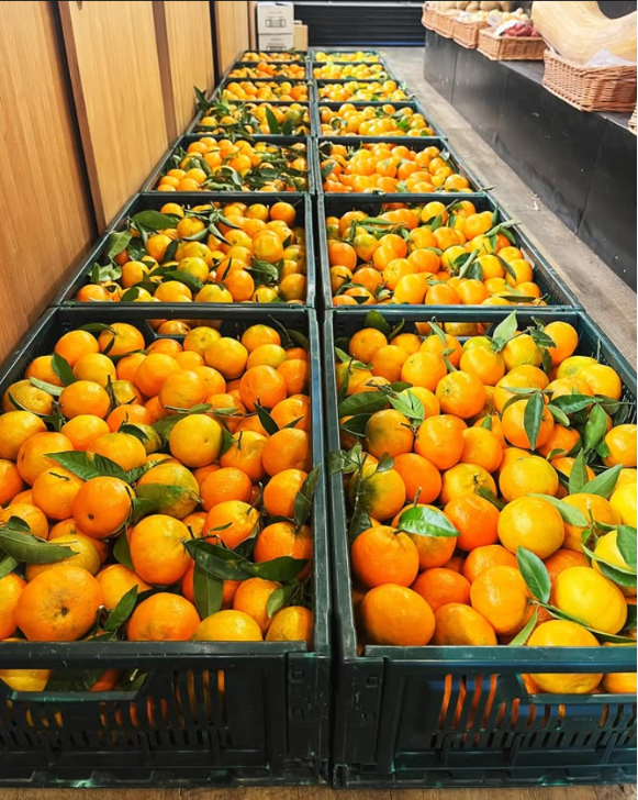 Cítricos y naranjas frescas